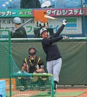 フリー打撃する森下（撮影・金田祐二）
