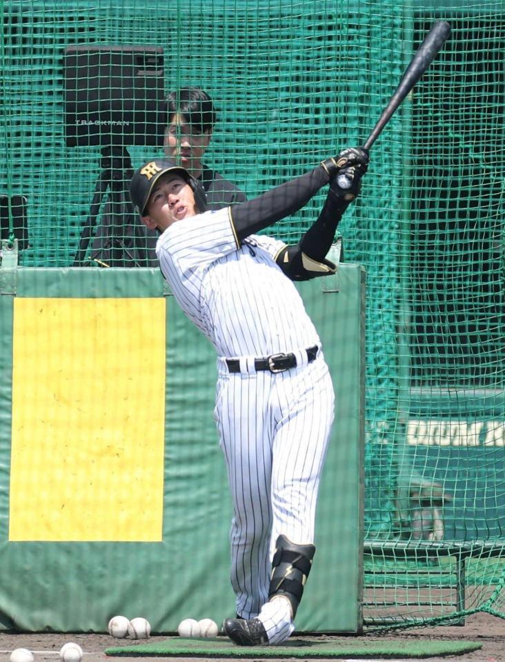 　打撃練習をする立石（撮影・中田匡峻）