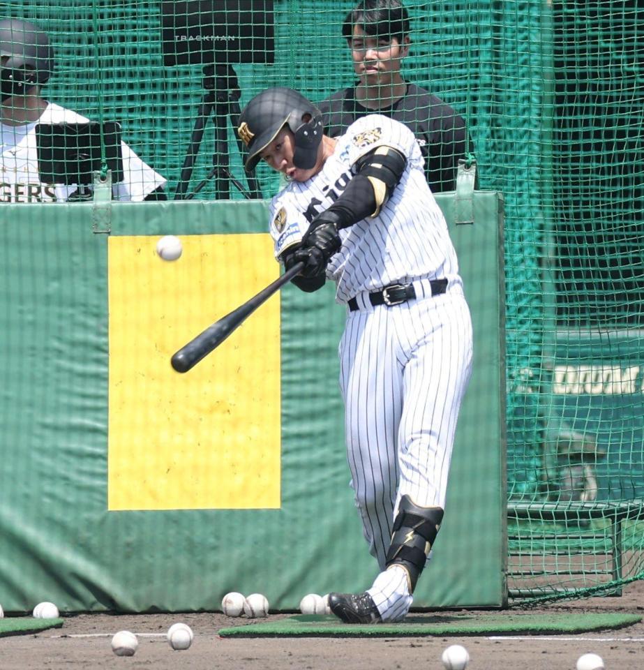 打撃練習をする立石（撮影・中田匡峻）