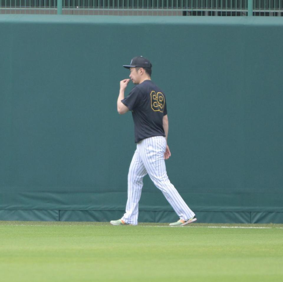 芝の感触を確かめるように外野を歩く石井（撮影・金居みつよし）