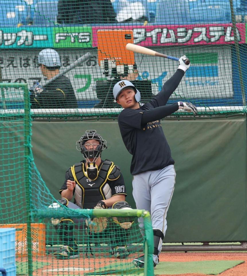 フリー打撃する森下（撮影・金田祐二）