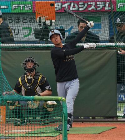 打撃練習する阪神・岡城快生＝神宮（撮影・金田祐二）
