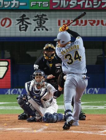 ８回、死球を受ける岡城（撮影・金田祐二）