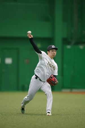 キャッチボールをして調整する石井（撮影・立川洋一郎）