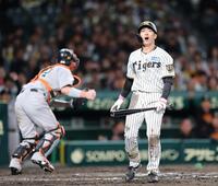 ８回、見逃し三振に倒れる福島（撮影・山口登）