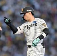１回、中前打を放ちベンチにポーズを送る佐藤輝（撮影・山口登）