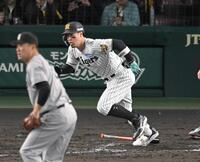 　３回、右前打を放つ佐藤輝