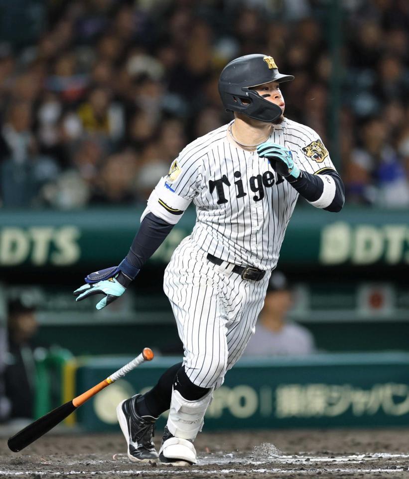 　７回、右前打を放つ佐藤輝