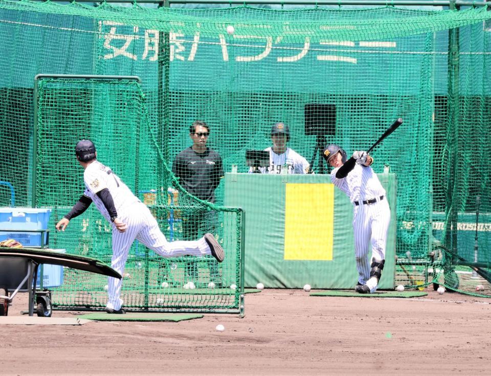 フリー打撃を行う立石（撮影・藤丸紘生）