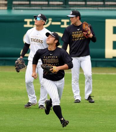 守備練習する井坪（撮影・山口登）