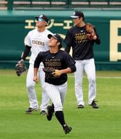 守備練習する井坪（撮影・山口登）