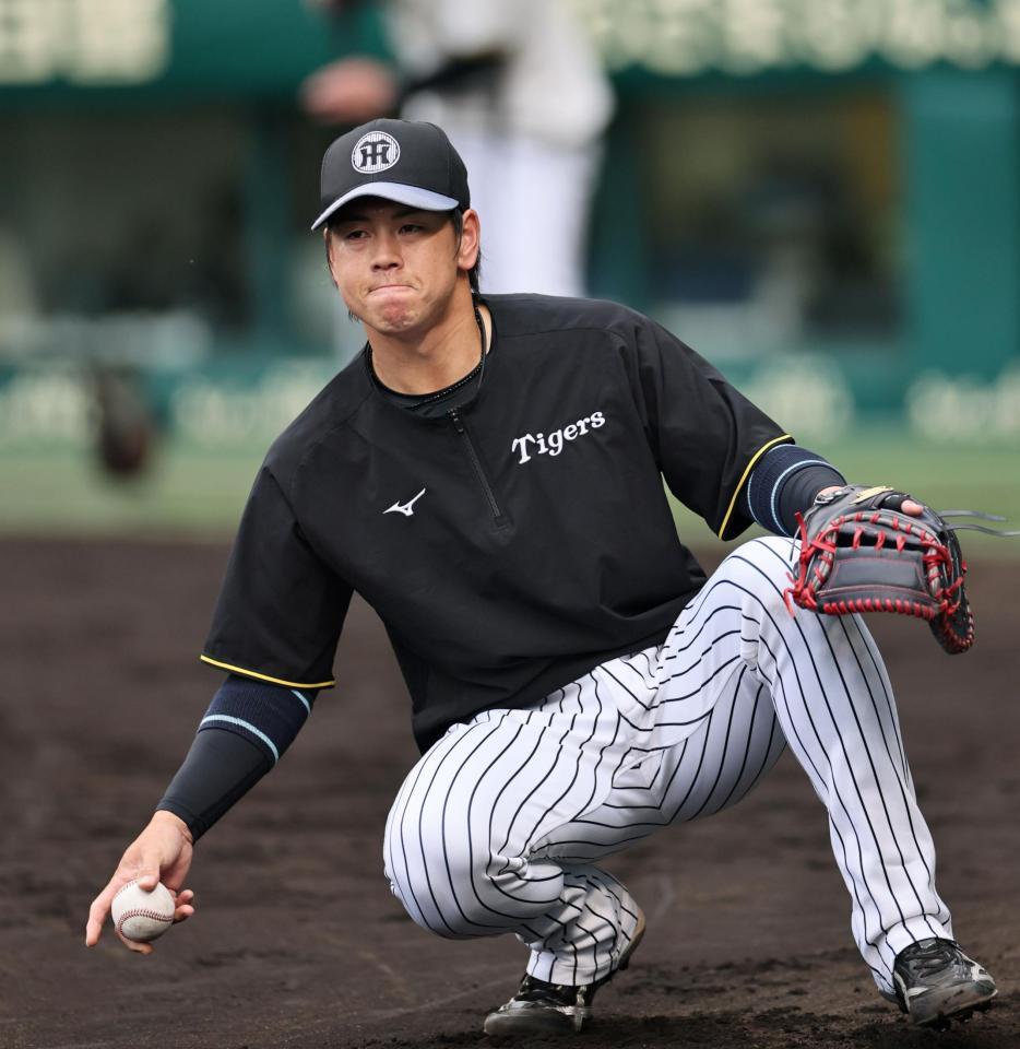 スローイングの練習をする梅野（撮影・田中太一）
