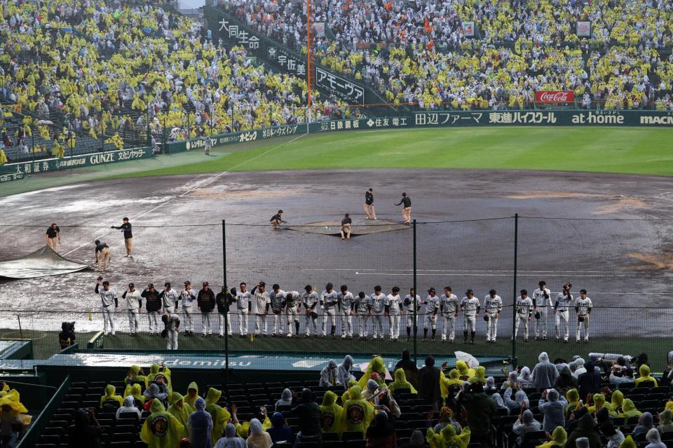 ７回途中、コールドゲームで勝利しファンにあいさつする阪神ナイン（撮影・山口登）
