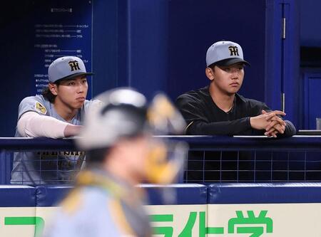 ８回、ベンチから試合を見る工藤（左）と門別（撮影・西田忠信）