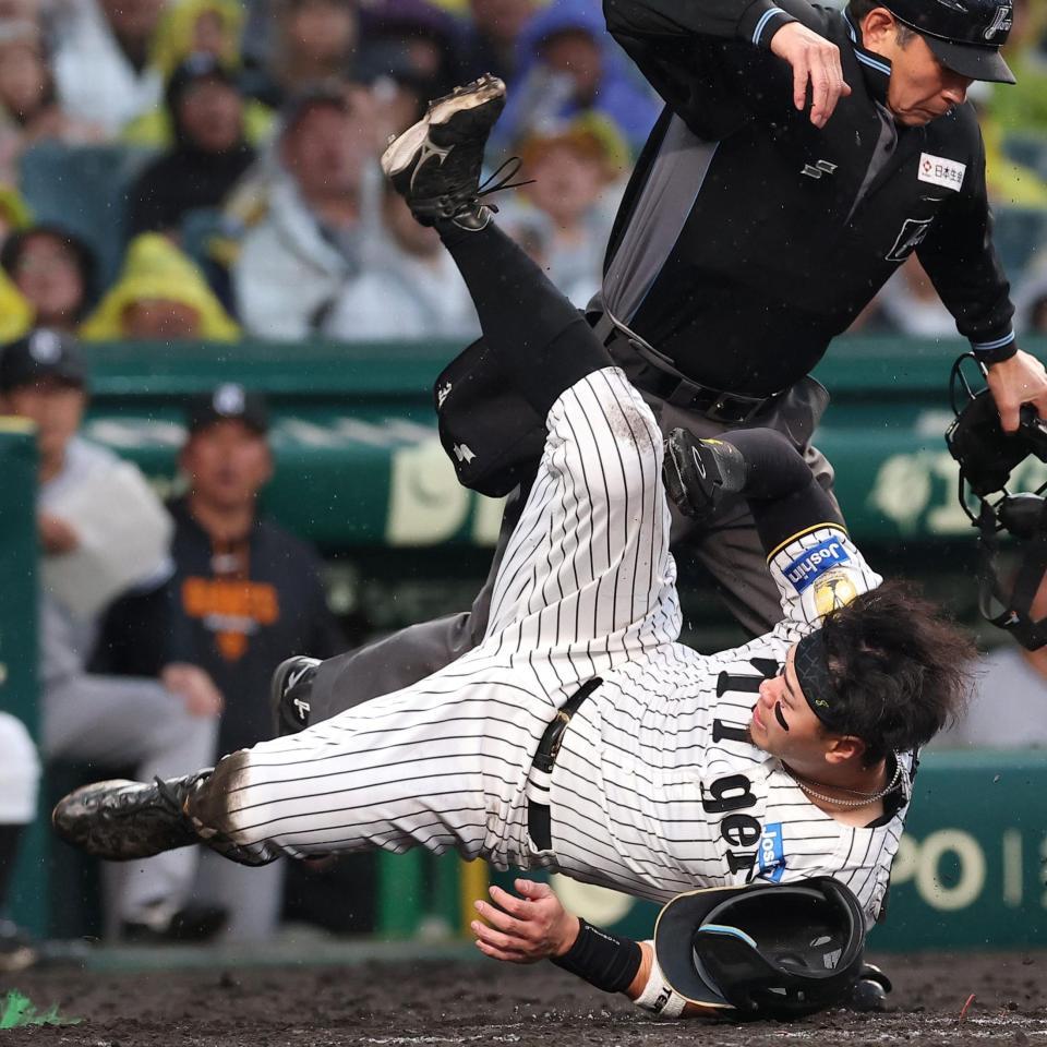 ４回、大山の投ゴロで本塁を狙うもアウトになる佐藤輝（撮影・西田忠信）