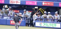 連敗を喫し、ベンチを引き揚げる藤川監督（中央）ら阪神ナイン（撮影・立川洋一郎）