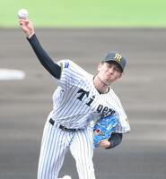 力投する先発投手の今朝丸（撮影・中田匡峻）