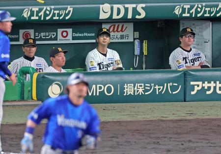 ９回、３ランを放った宮崎を見つめる藤川監督（撮影・立川洋一郎）