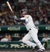６回、ソロを放つ森下（撮影・田中太一）