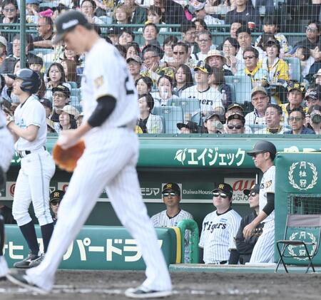 ８回、逆転を許した大竹（手前）を見る藤川監督（撮影・田中太一）