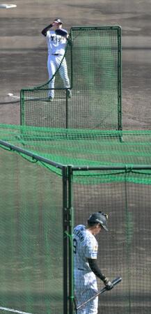 試合後のライブＢＰに登板、立石と対戦する下村（撮影・金居みつよし）