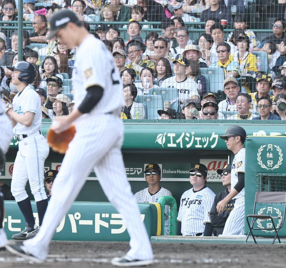 ８回、逆転を許した大竹（手前）を見る藤川監督（撮影・田中太一）