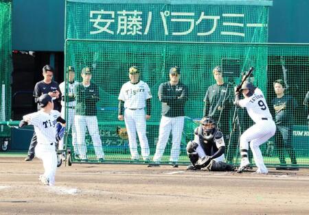 ライブＢＰに登板し、立石正広（９）と対戦する阪神・下村海翔＝日鉄鋼板ＳＧＬスタジアム尼崎