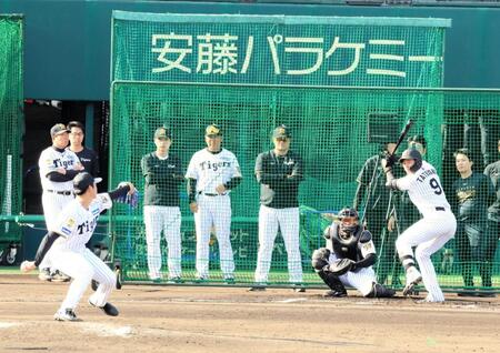 ライブＢＰに登板し、立石正広（９）と対戦する阪神・下村海翔＝日鉄鋼板ＳＧＬスタジアム尼崎