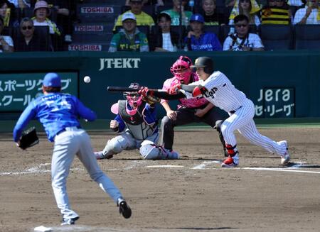 ５回、スクイズを決める才木（投手・石田裕、捕手・山本）＝撮影・山口登