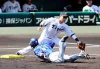 　１回、佐藤輝からのワンバウンド送球を拾い上げる木浪（撮影・山口登）