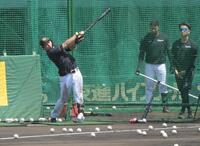 試合前、打撃練習をする立石（撮影・金居みつよし）