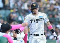 ６回、ソロを放ちナインに迎えられる佐藤輝（撮影・西田忠信）