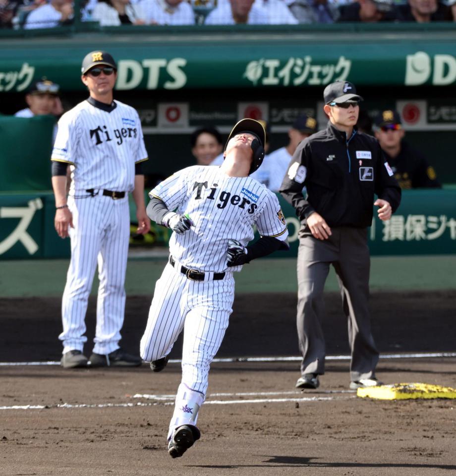 ６回中飛に倒れ悔しがる森下（撮影・山口登）