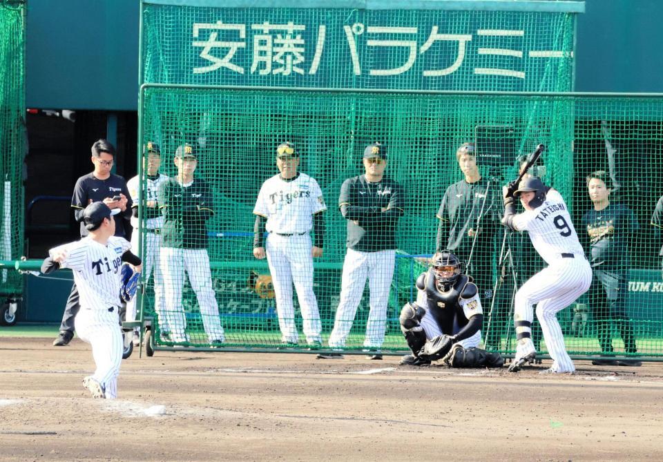 ライブＢＰに登板し、立石正広（９）と対戦する阪神・下村海翔＝日鉄鋼板ＳＧＬスタジアム尼崎