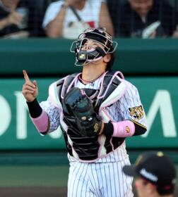 ＤｅＮＡに勝利し、阪神・梅野隆太郎は天に向かい指をさす＝甲子園（撮影・山口登）