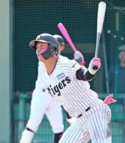 　８回、同点に追いつく走者一掃の適時二塁打を放つ百崎（撮影・立川洋一郎）