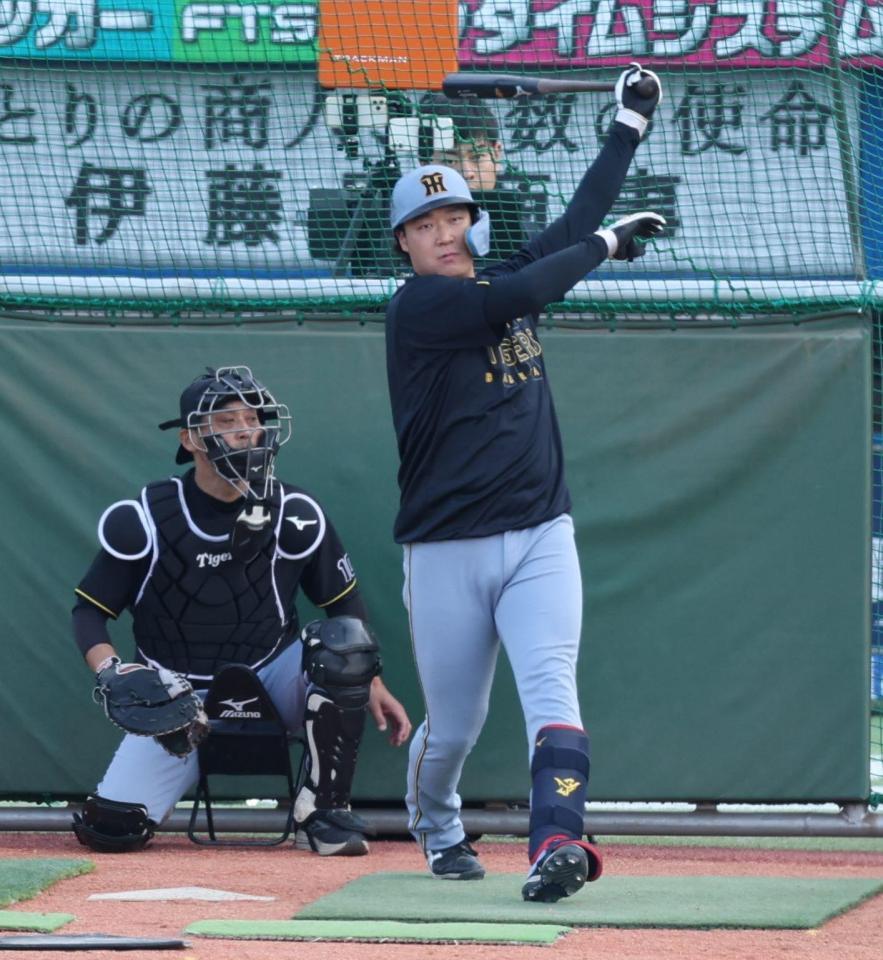 打撃練習する大山（撮影・金田祐二）