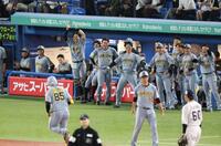 ７回、代打・嶋村の２ランに喜ぶ阪神ベンチ＝１２日