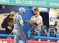 ７回、小幡が送りバントをできずに空振り三振に倒れ厳しい表情の藤川監督（撮影・金田祐二）