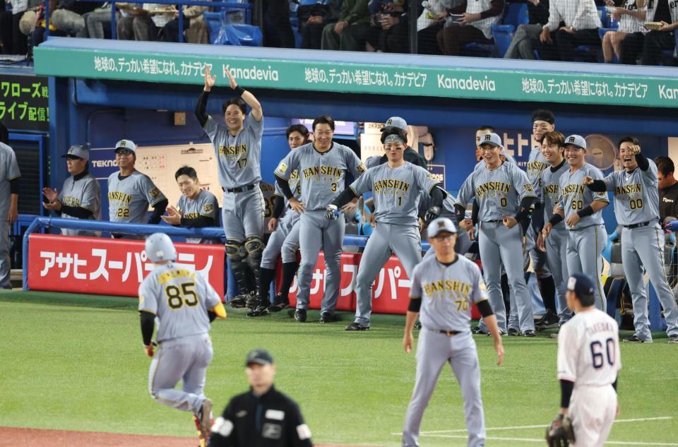 ７回、代打・嶋村の２ランに喜ぶ阪神ベンチ＝１２日