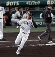 ６回、中飛に倒れる森下（撮影・山口登）