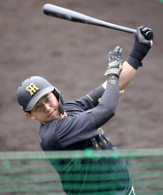 阪神ドラ１立石　交流戦前後で１軍も