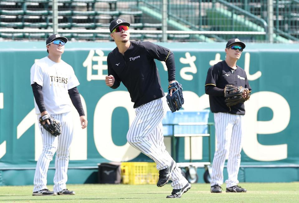 左翼で守備練習する佐藤輝（中央）＝撮影・西田忠信