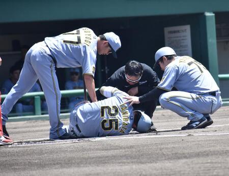 デイリースポーツ 主要ニュース