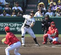 ４回、１１号ソロを放つ佐藤輝（撮影・飯室逸平）