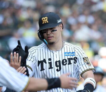 ４回阪神無死、ソロを放ちナインとタッチを交わす阪神・佐藤輝（撮影・西田忠信）