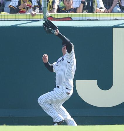 ５回、持丸の右飛をフェンス際で捕球する森下（撮影・西田忠信）