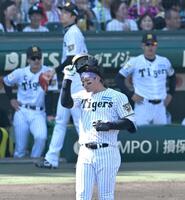 ３回、中飛に倒れる森下（撮影・飯室逸平）