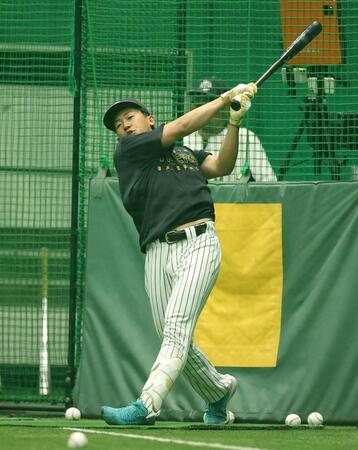 室内で打撃練習をする立石（撮影・西田忠信）