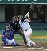 ２回、プロ初安打となる中前打を放つ立石（撮影・立川洋一郎）